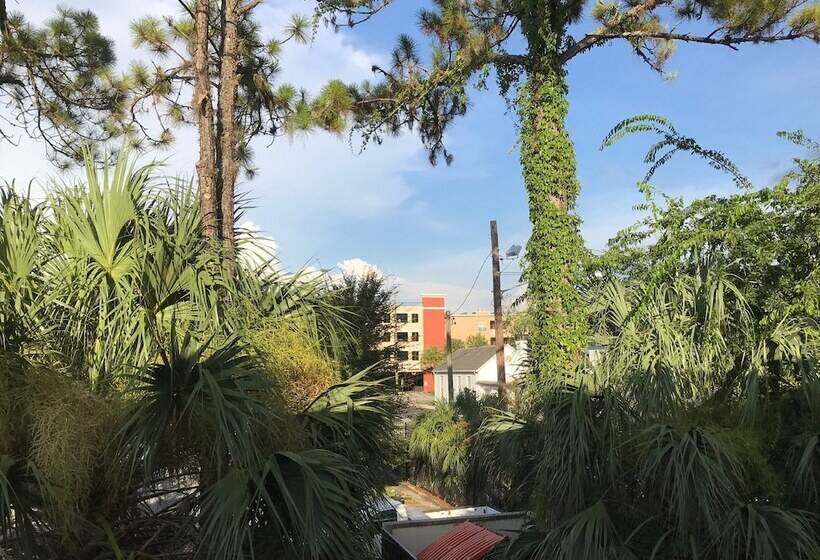 בית מלון כפרי Gainesville Lodge