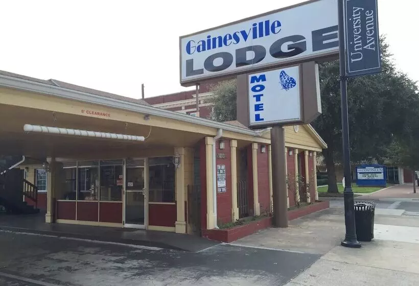 ホテル Gainesville Lodge