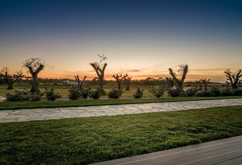 فندق Monte Do Cardal