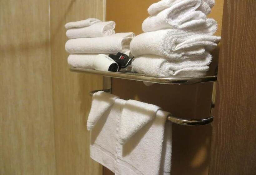 فندق Old Town Inn