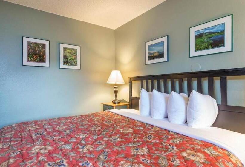 فندق Old Town Inn