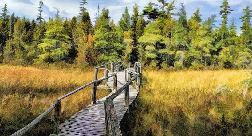 בית מלון כפרי Somerset Inn & Suites