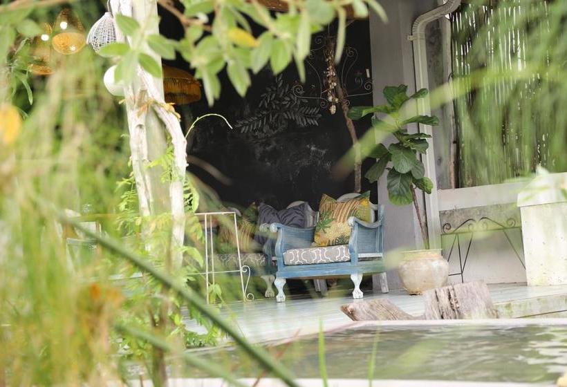 פנסיון De Companjie