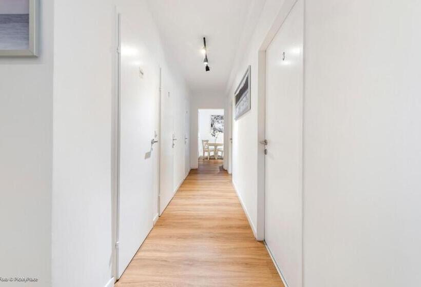 هاستل Central City Lofts