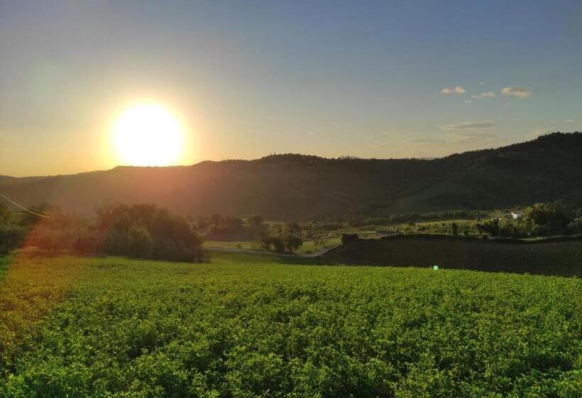 مبيت وإفطار Casa Aroma