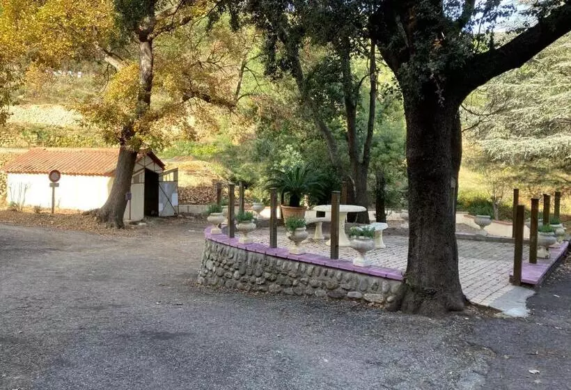 Domaine Des Anges 2