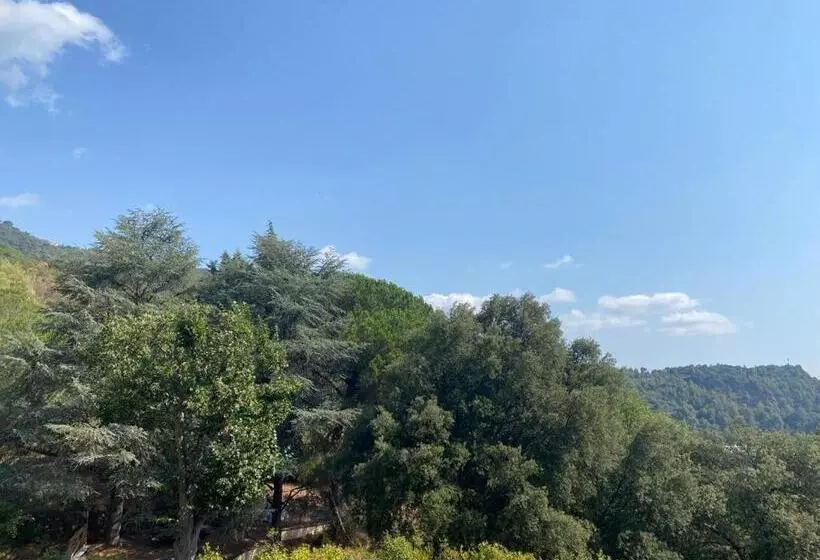 Domaine Des Anges 2