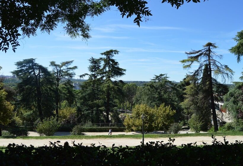 هتل کپسول Debod Hostel