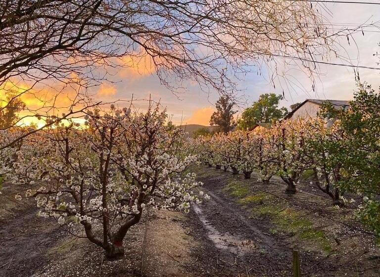 Hotel Fundo Las Tortolas