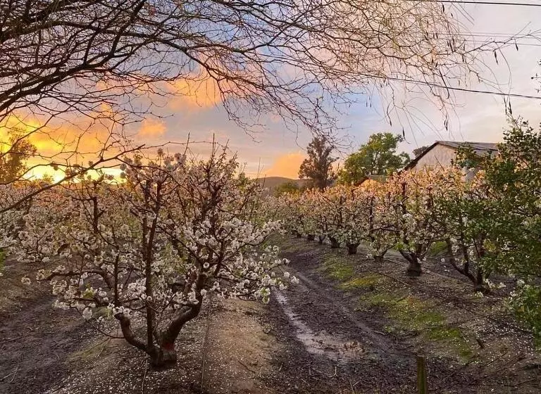 Hotelli Fundo Las Tortolas