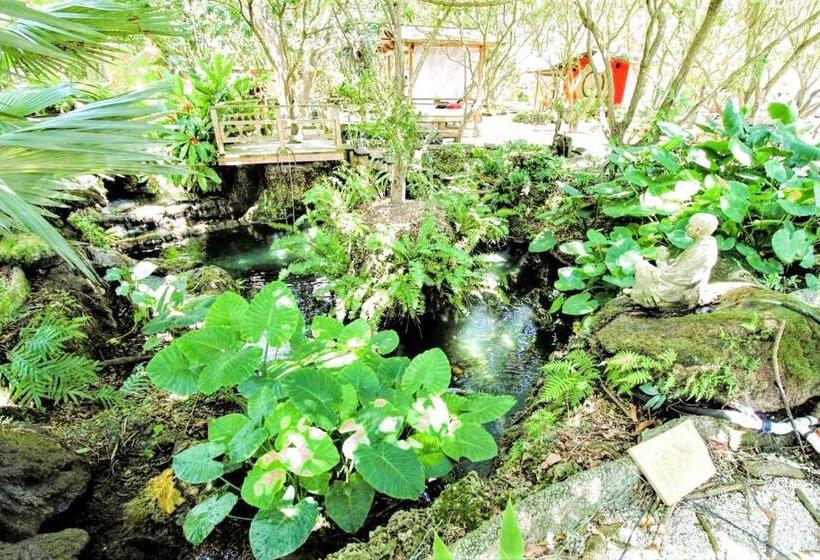 بنسيون Bird Tiny House In Charming Japanese Garden