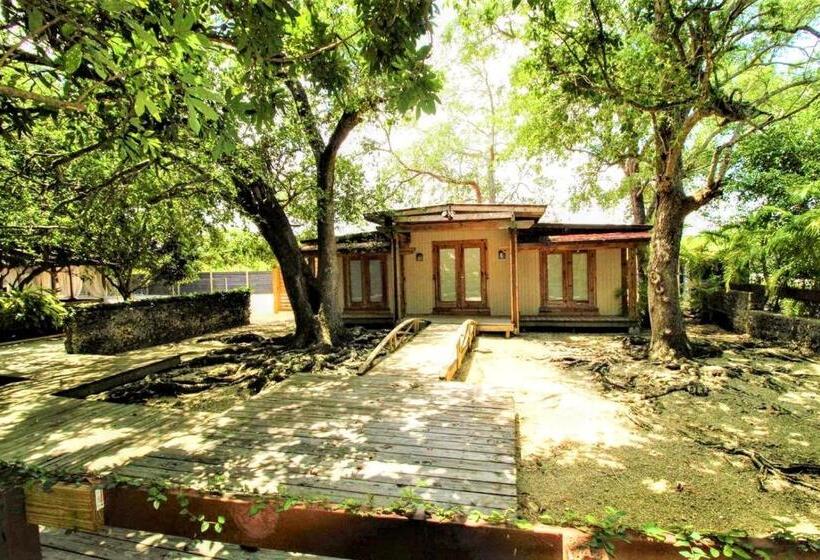 بنسيون Bird Tiny House In Charming Japanese Garden