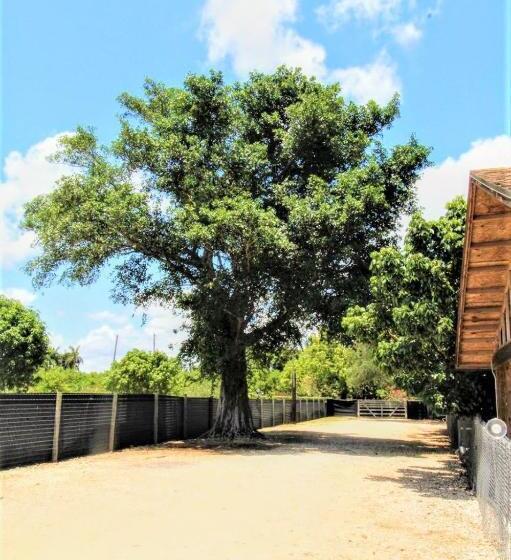 بنسيون Bird Tiny House In Charming Japanese Garden