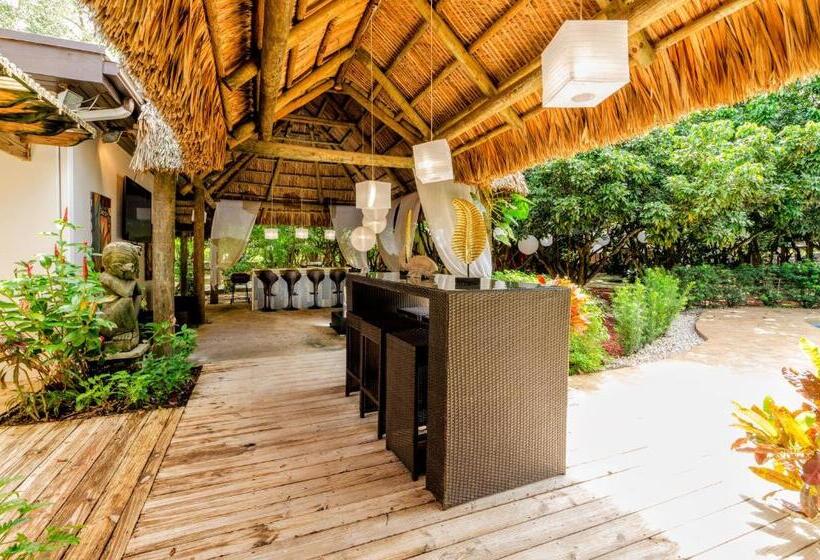 بنسيون Bird Tiny House In Charming Japanese Garden