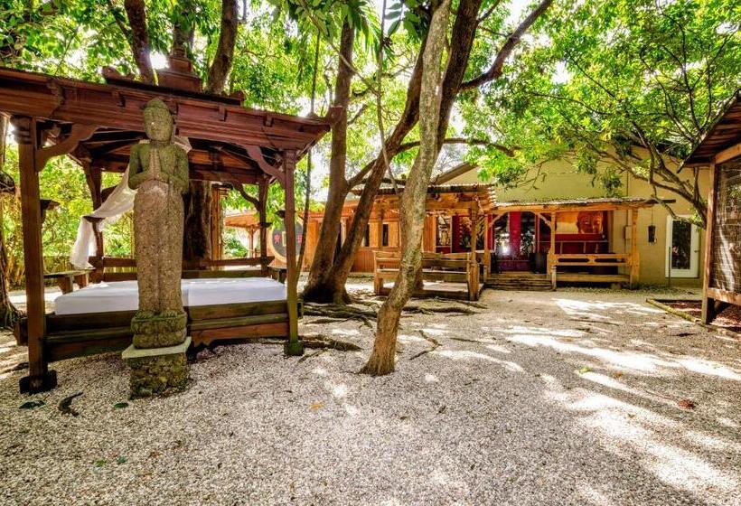 بنسيون Bird Tiny House In Charming Japanese Garden