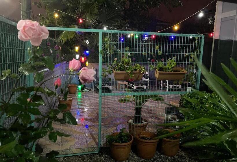 Terrace Boutique Otel