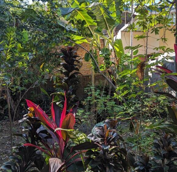 Пансион Agus Family Homestay