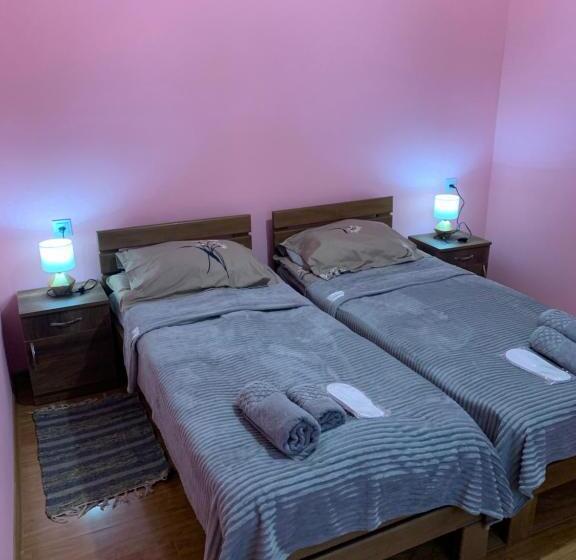 پانسیون Mate S Home Kazbegi