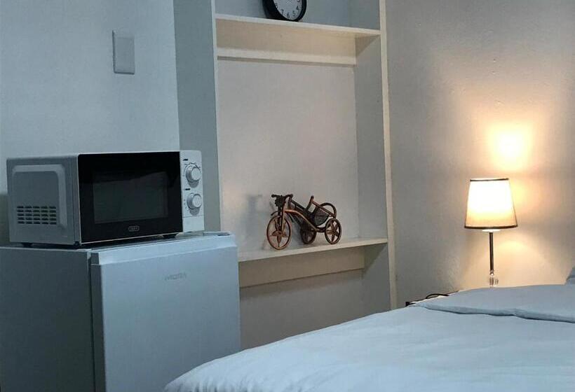 Pensão The Affectionate One