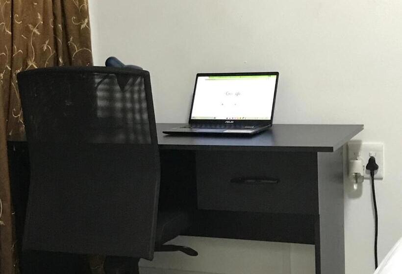 Pensão The Affectionate One