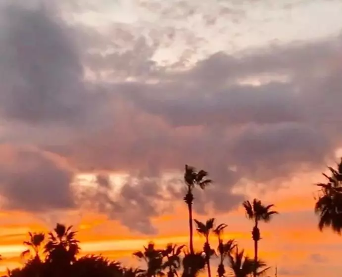 リゾートホテル Pueblo Bonito Sunset Beach