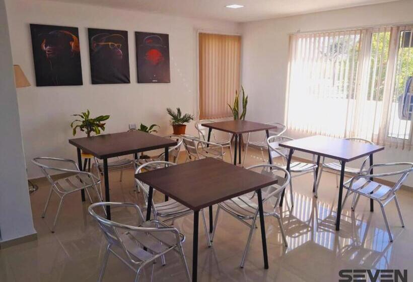 Seven Hotel   Juana Koslay San Luis