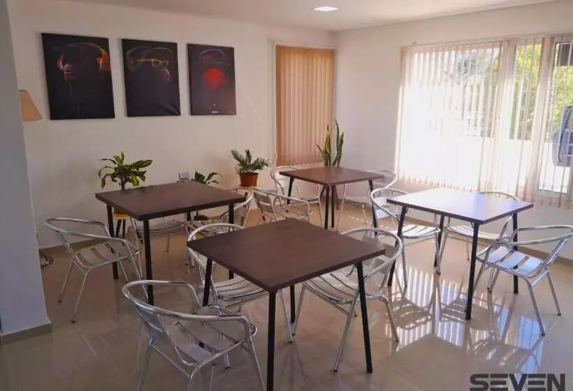 Seven Hotel   Juana Koslay San Luis