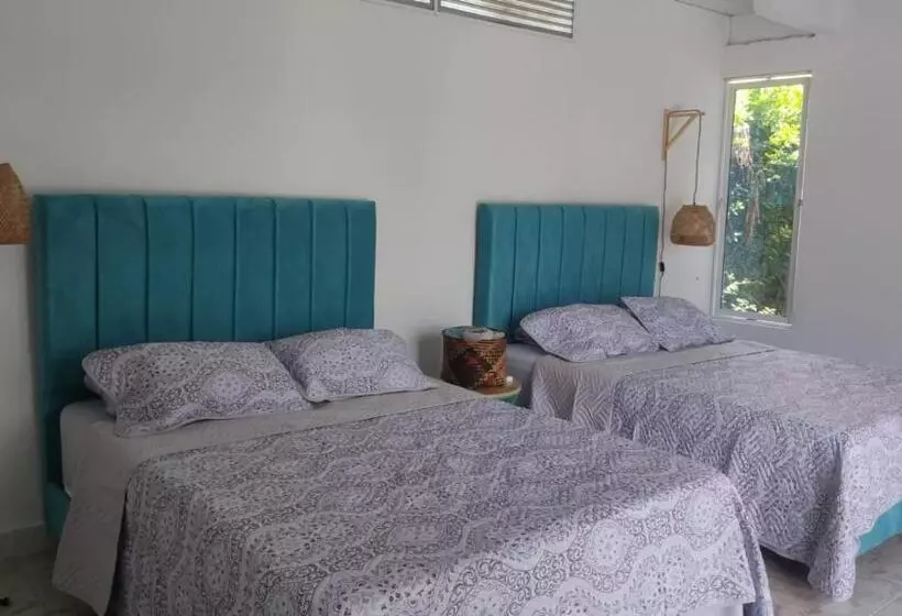 ベッドアンドブレックファースト Casa Hotel El Encanto De Carmen