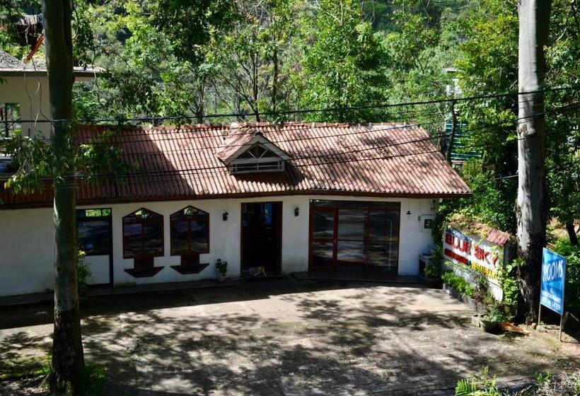 ペンション Blue Sky Guest House And Restaurant