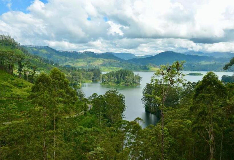 ペンション Blue Sky Guest House And Restaurant