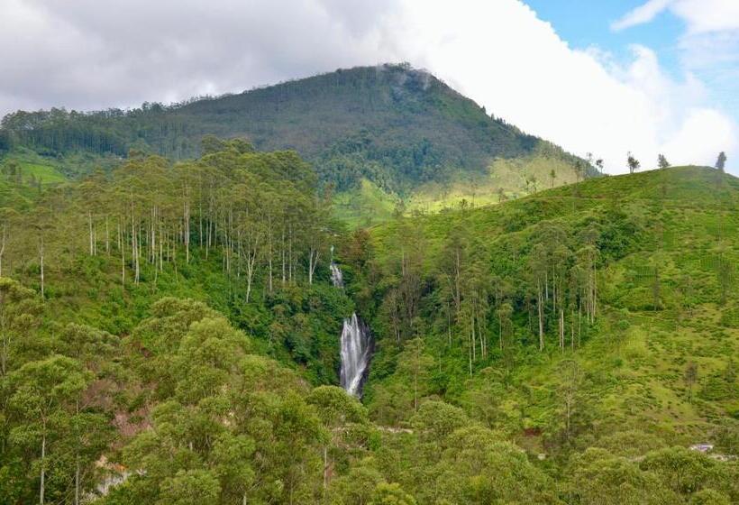 ペンション Blue Sky Guest House And Restaurant