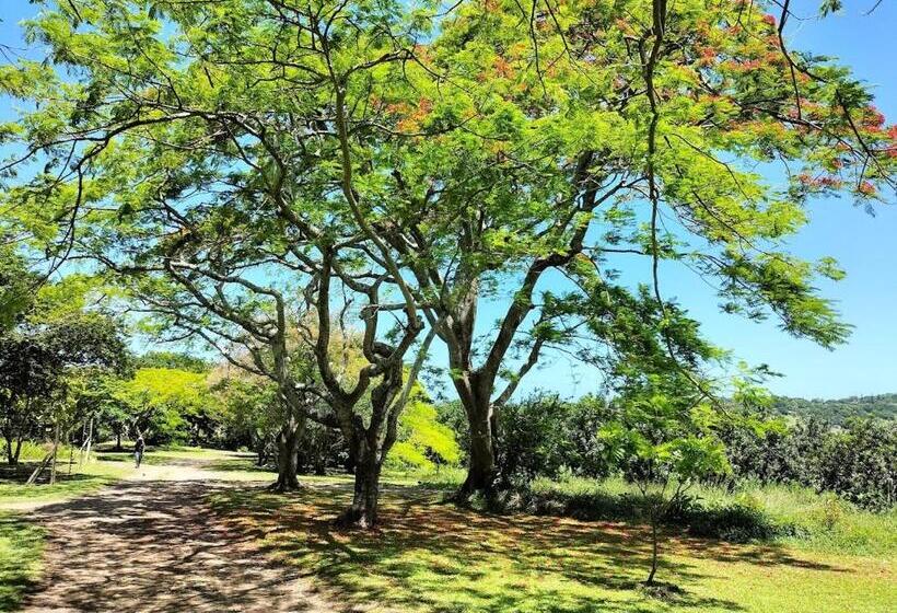 بنسيون Casa Ariel   River Lodge