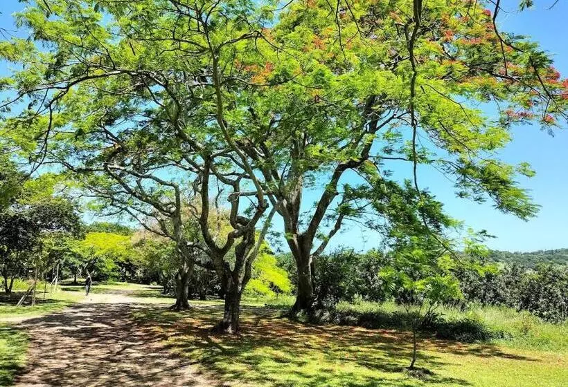 ペンション Casa Ariel   River Lodge