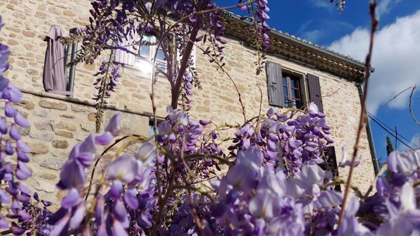 Bed and Breakfast La Maison Wisteria