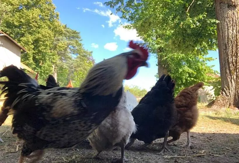 Aamiaismajoitus (B&B) Demeure Des Payratons