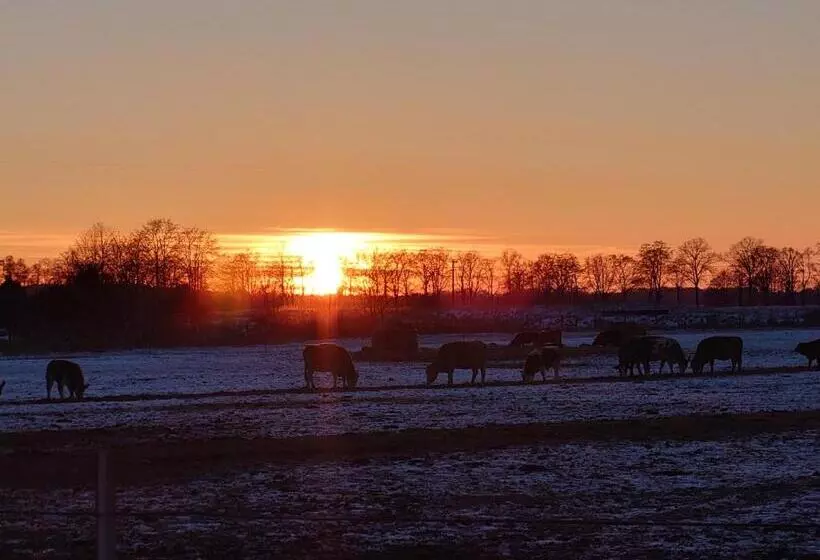 Hotelli Schützenhaus Lenzen