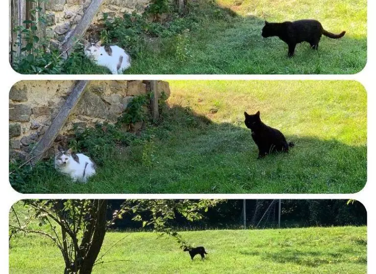 Majatalo Landgasthof Blasini   Pfahlhof