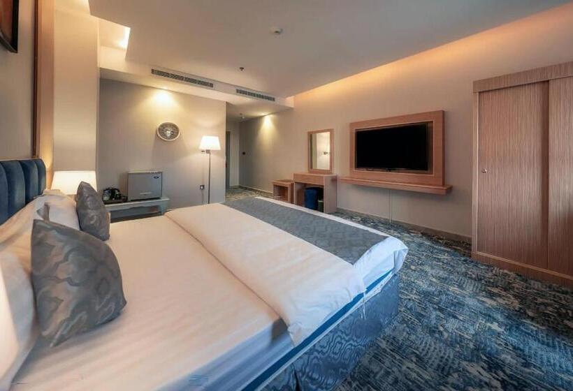 فندق بيرلي ابها