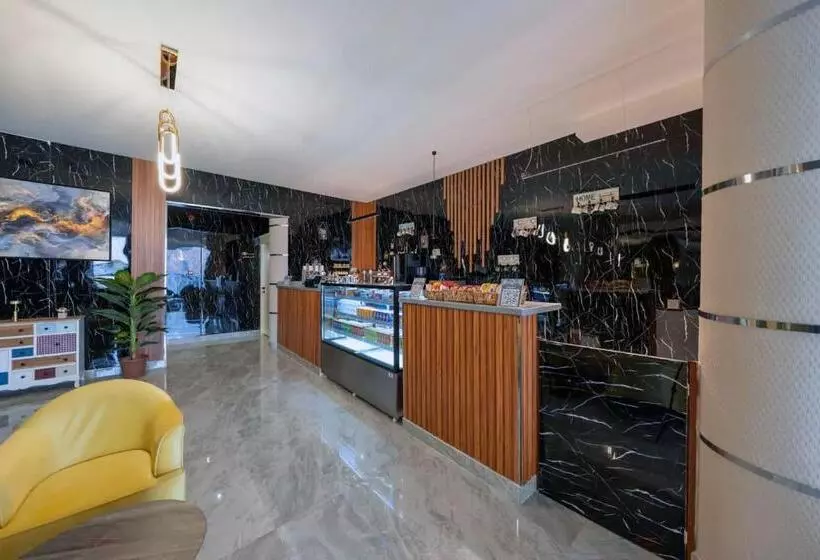 فندق بيرلي ابها