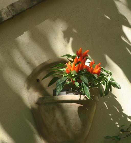 Bed and Breakfast Tombe La Nèfle