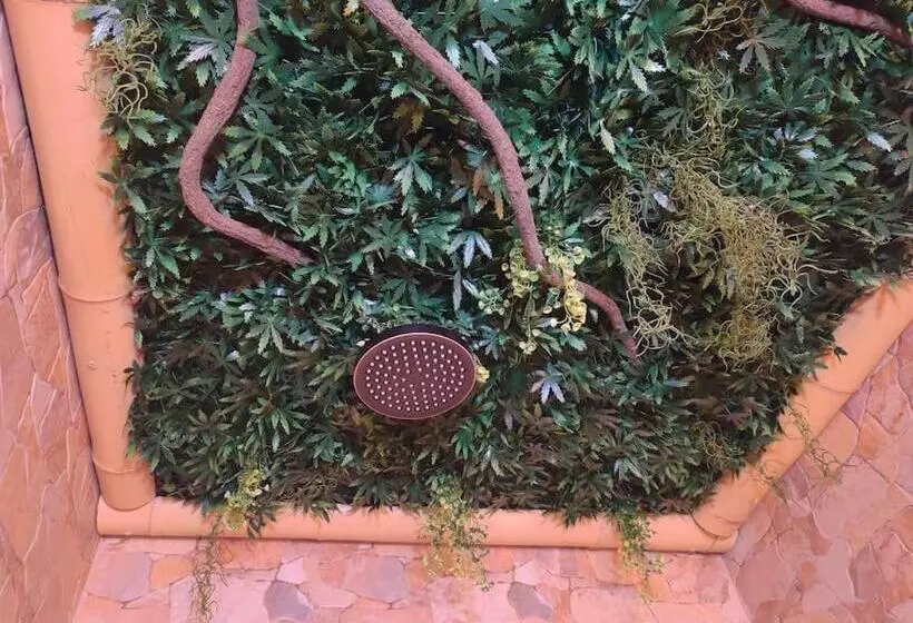 Majatalo Shipwrecked