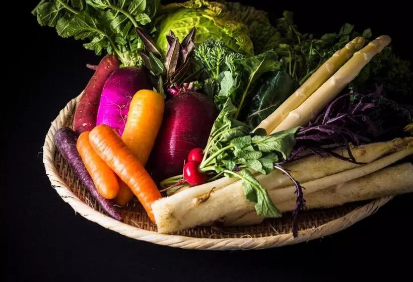 旅館 Hoshino Otoー星音