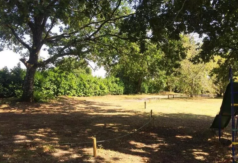 ベッドアンドブレックファースト Au Petit Prince De Lue