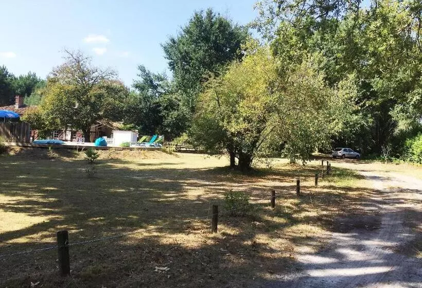 ベッドアンドブレックファースト Au Petit Prince De Lue