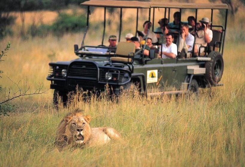 Bed and Breakfast Entabeni Mountain Lodges