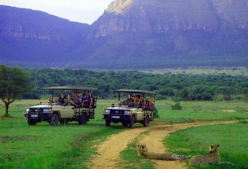 Bed and Breakfast Entabeni Mountain Lodges