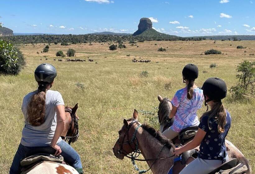 Bed and Breakfast Entabeni Mountain Lodges