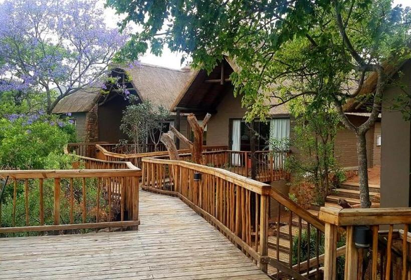 Bed and Breakfast Entabeni Mountain Lodges