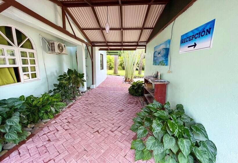 فندق Cabinas Brisa Del Mar