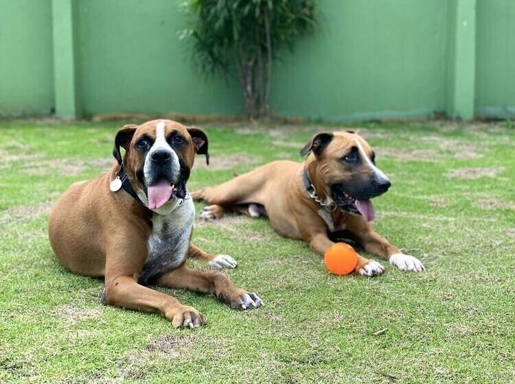 فندق Cabinas Brisa Del Mar